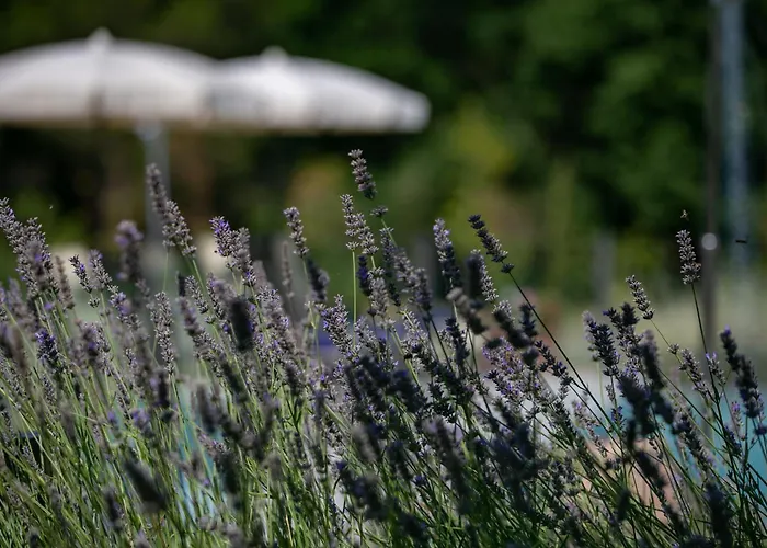 La Piccola Severina Κορτόνα