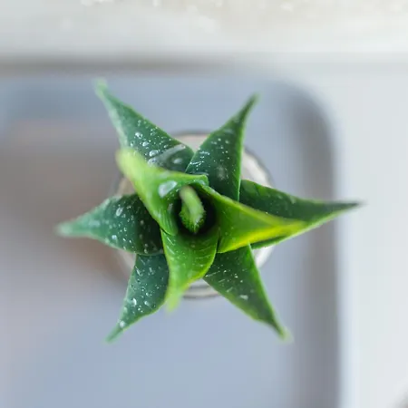 Villa La Piccola Severina