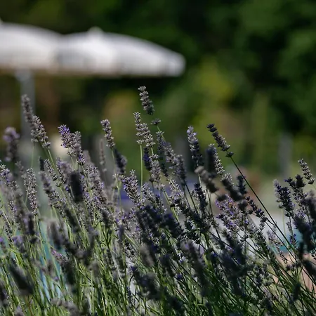 La Piccola Severina Cortona